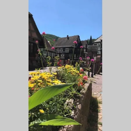 Coeur Alsace Appartement *