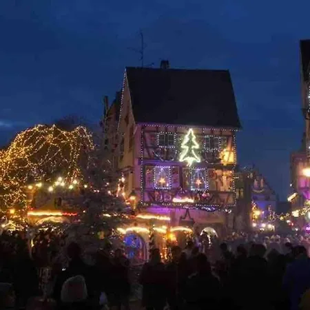 Appartement Coeur Alsace Colmar
