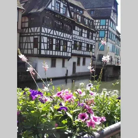 דירה Coeur Alsace