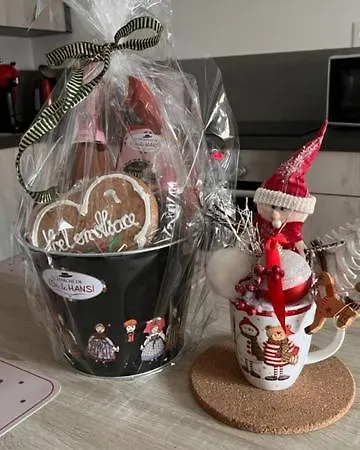 Appartement Coeur Alsace Colmar