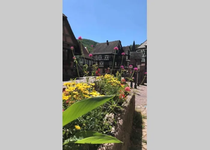 Coeur Alsace 公寓 *