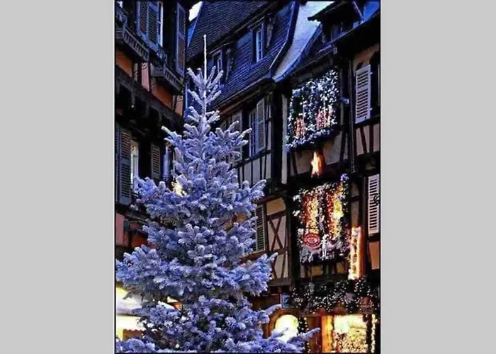 Coeur Alsace * Кольмар