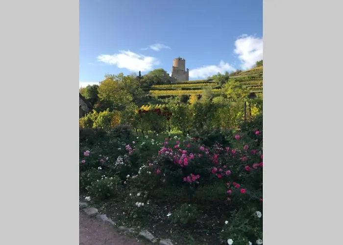 公寓 Coeur Alsace 科尔马