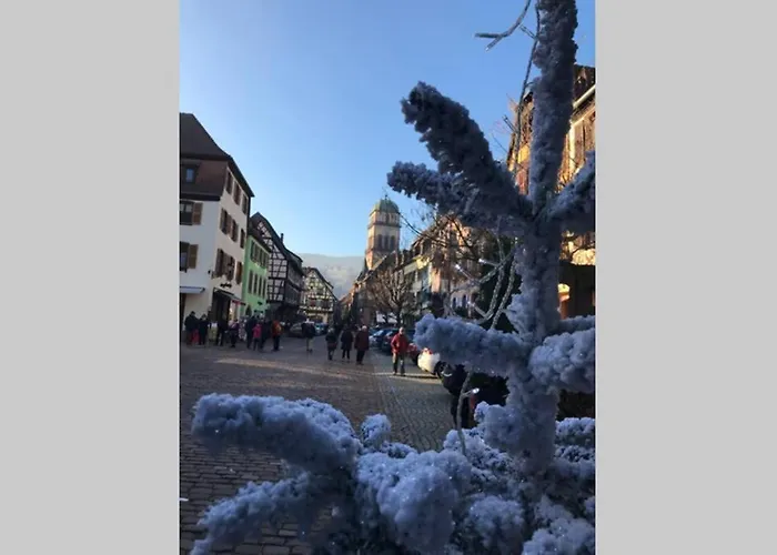 Coeur Alsace Кольмар