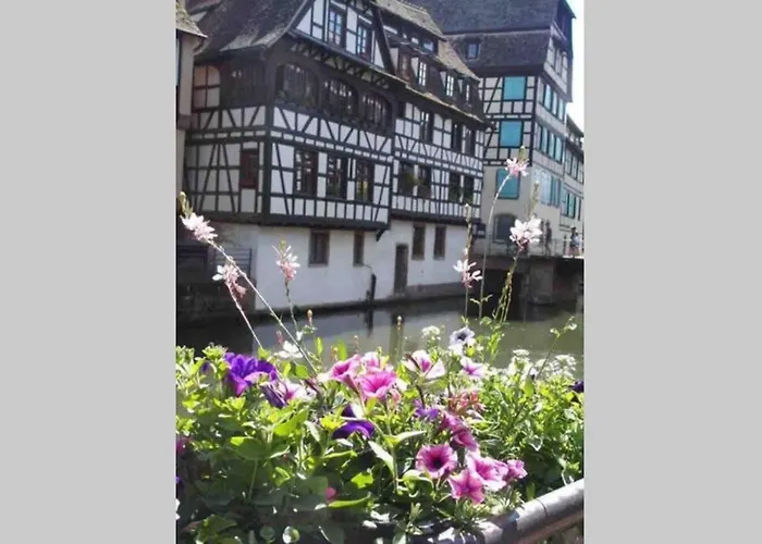 Апартаменты Coeur Alsace