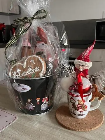 公寓 Coeur Alsace 科尔马