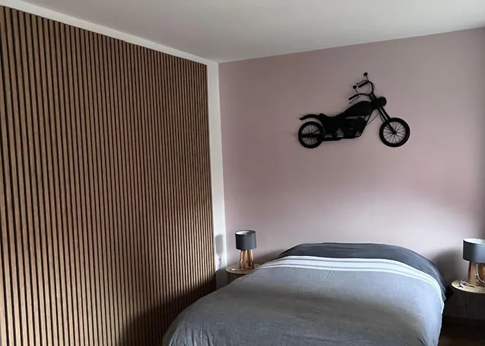 公寓 Coeur Alsace 科尔马